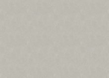 Marburg Whisper 36321