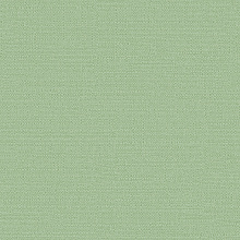 Зелёные обои в прихожую Alessandro Allori Bruni 1003-14 RBN