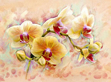 Фотообои орхидея Divino Decor Фотопанно 2-х полосные C-300